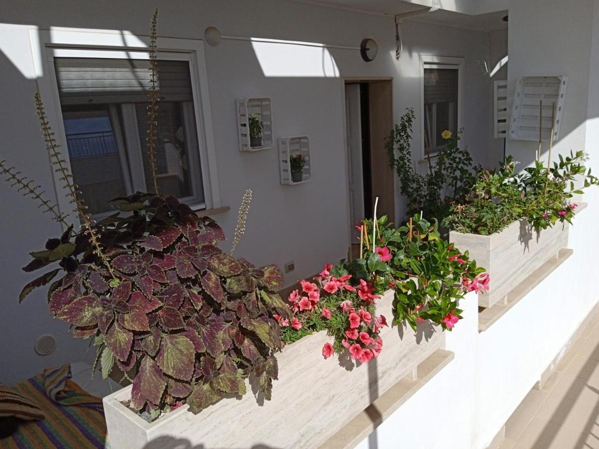 La Casa Di Elena Apartment Sannicandro di Bari Екстериор снимка