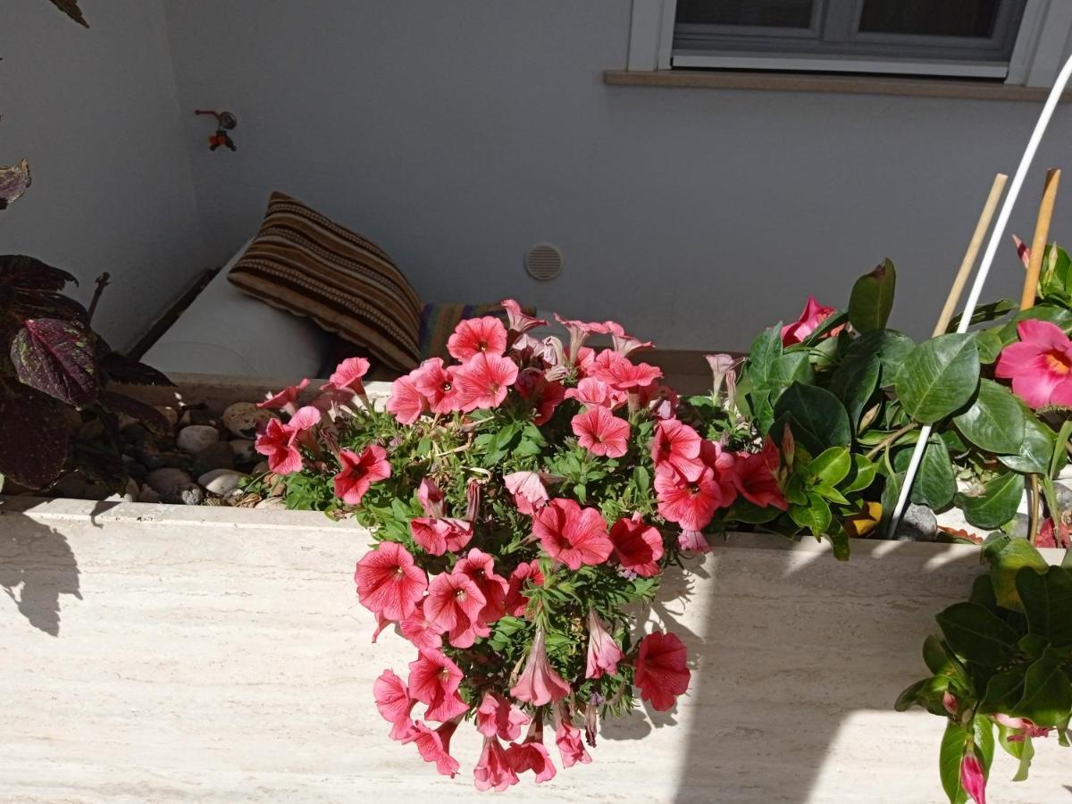 La Casa Di Elena Apartment Sannicandro di Bari Екстериор снимка